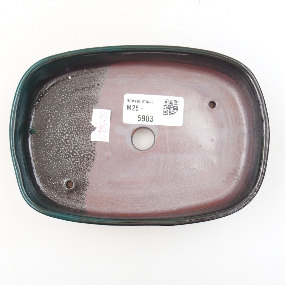 Ciotola bonsai in ceramica 22 x 17 x 5 cm, verde