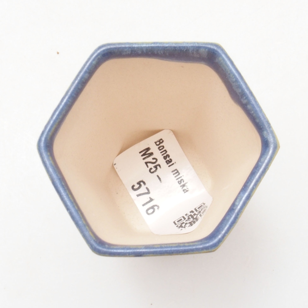 Mini bonsai 4,5 x 4,5 x 6,5 cm, colore blu