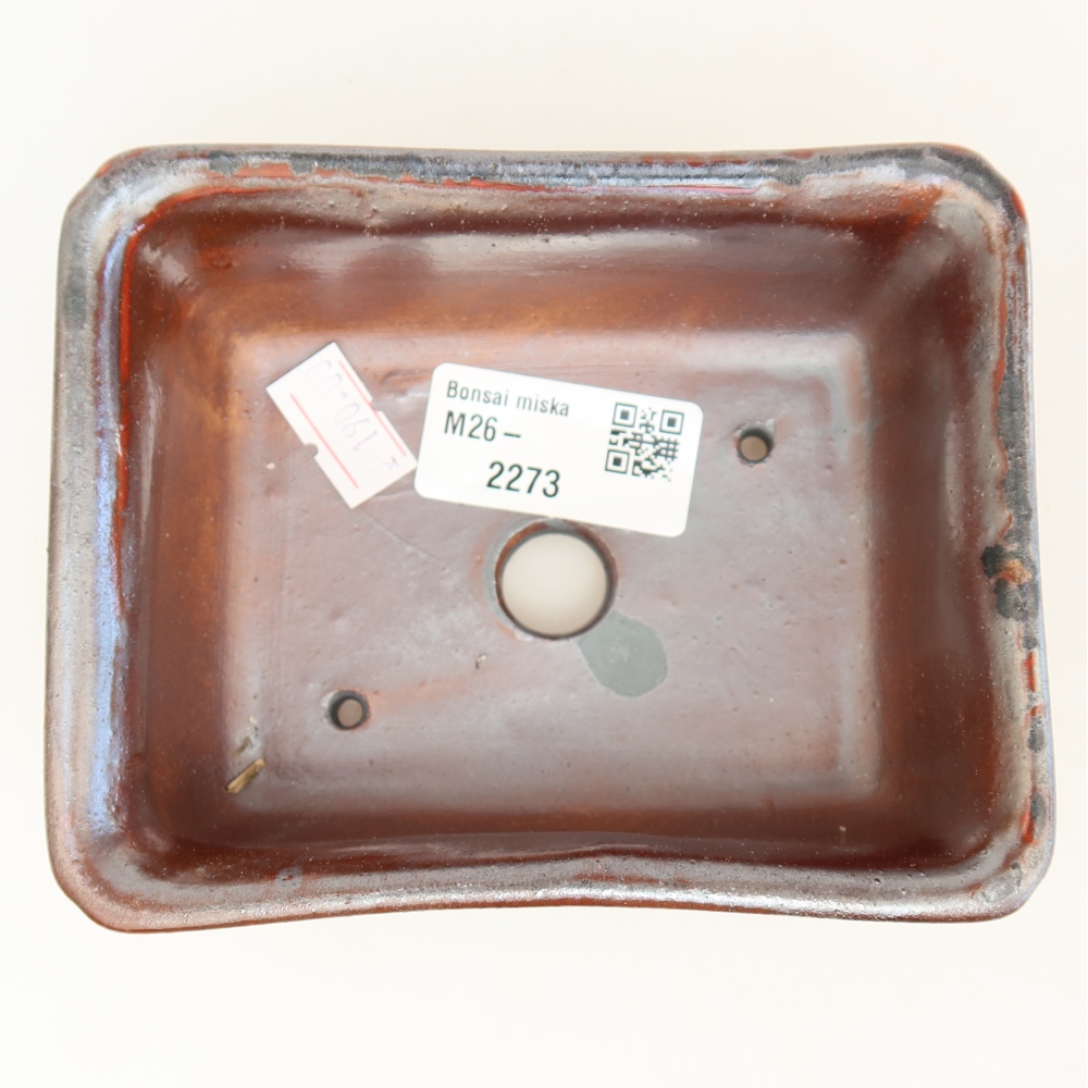 Vaso da bonsai in ceramica 12 x 10 x 5 cm, colore rosso