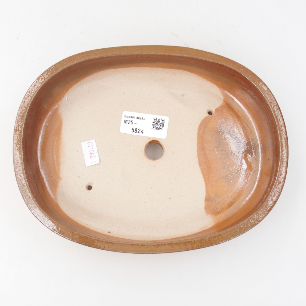 Ciotola per bonsai in ceramica 22 x 16,5 x 4 cm, marrone