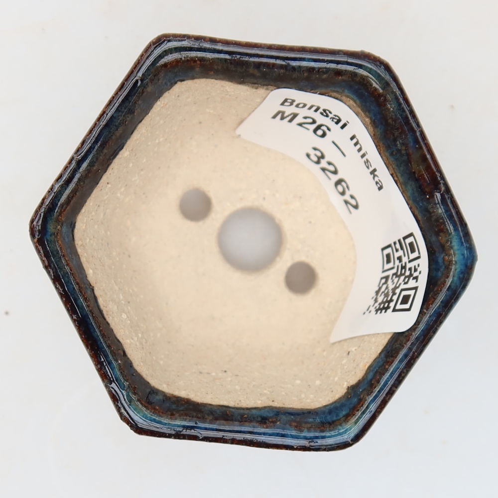 Vaso da bonsai in ceramica 5,5 x 5 x 3 cm, colore blu