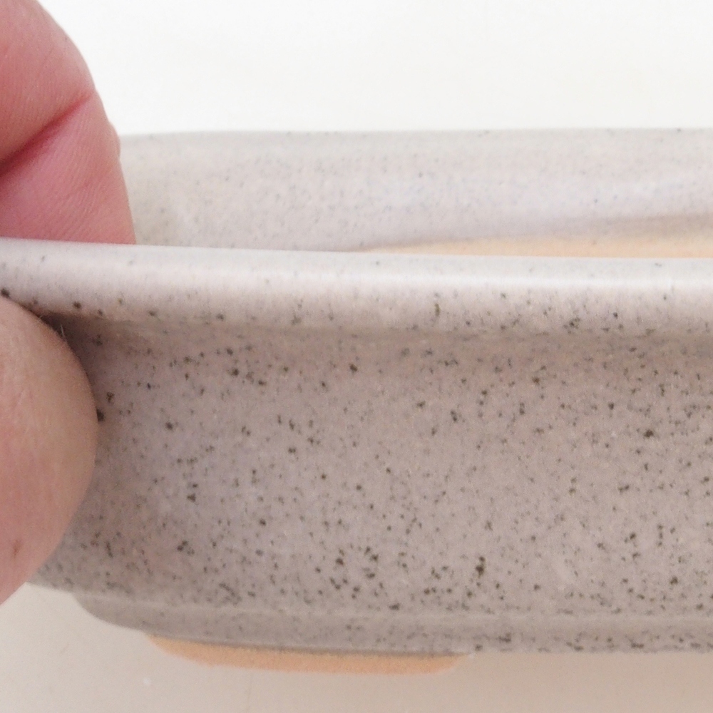 Ciotola per bonsai H02 - 19 x 13 x 5 cm - beige