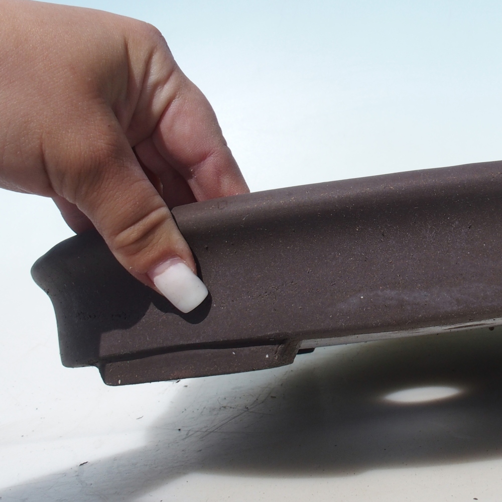 Ciotola bonsai 38 x 21 x 5 cm betulla marrone