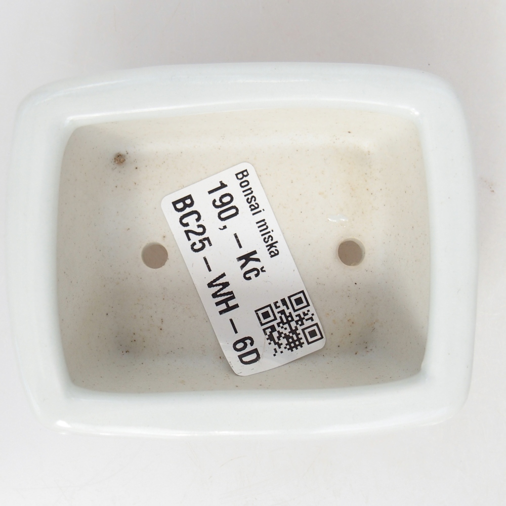 Mini bonsai 8 x 6,5 x 3,5 cm, bianco