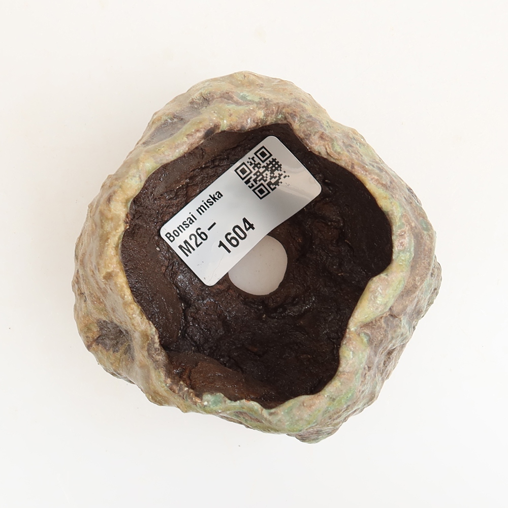 Conchiglia in ceramica  6 x 5 x 6,5 cm, colore verde