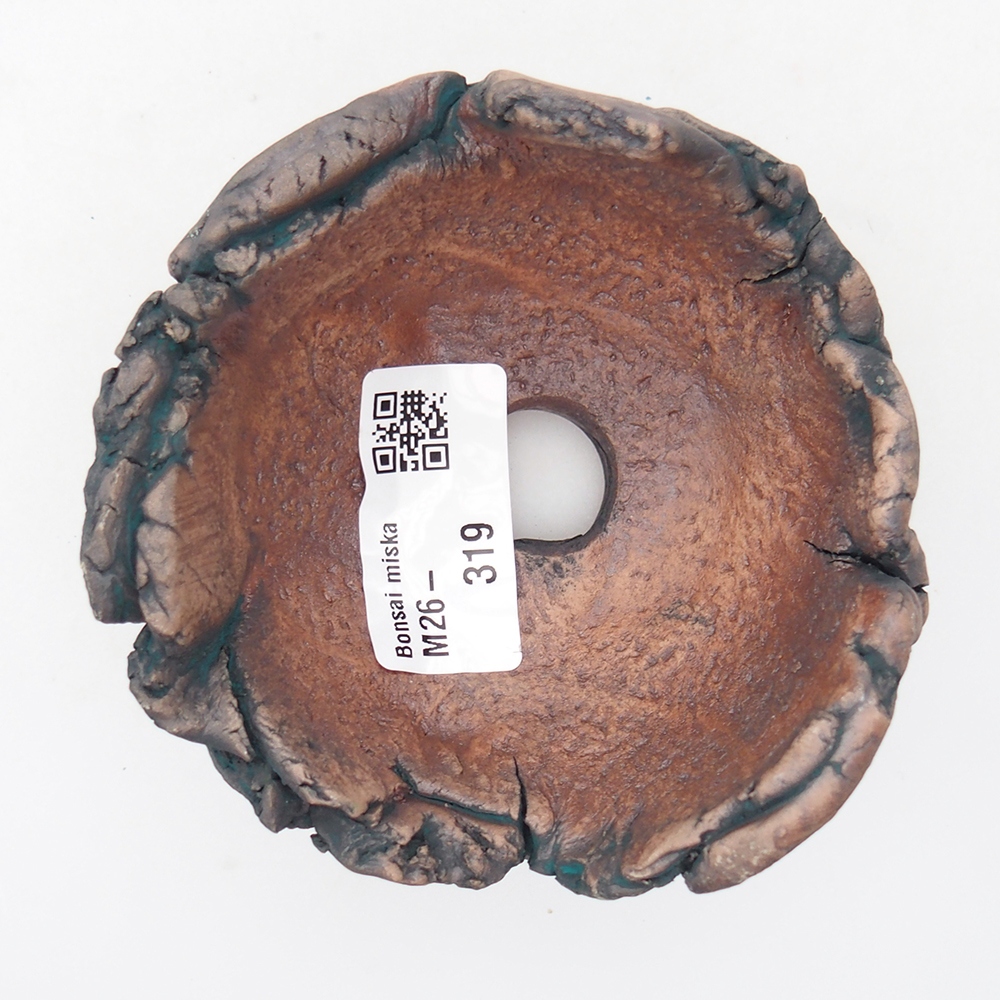 Conchiglia in ceramica 9 x 9 x 6 cm , colore verde