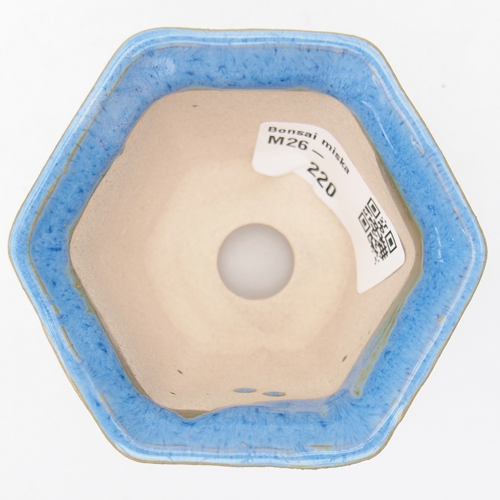 Mini bonsai 4 x 6,5 x 5 cm, colore blu