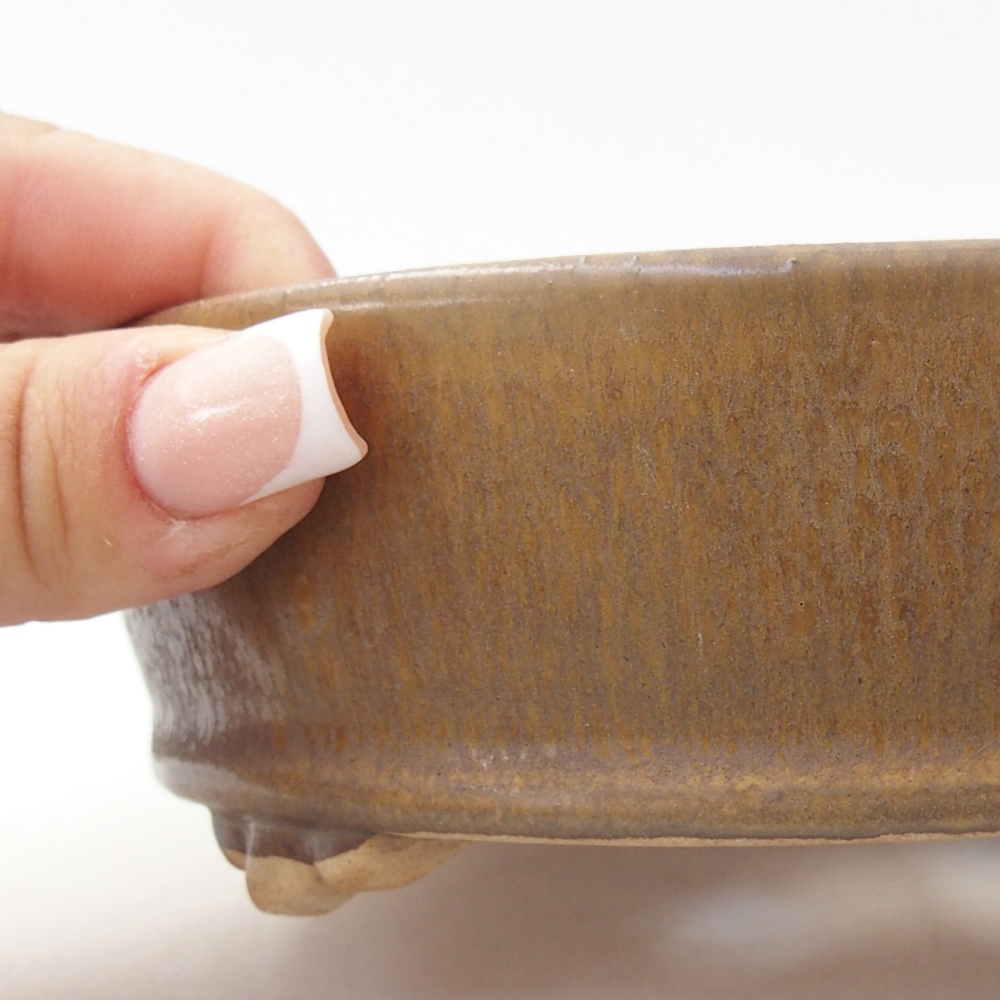 Ciotola per bonsai in ceramica 15,5 x 15,5 x 5 cm, marrone