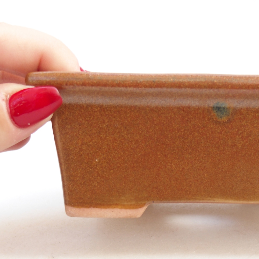 Ciotola bonsai in ceramica 26 x 26 x 8 cm, colore rosso