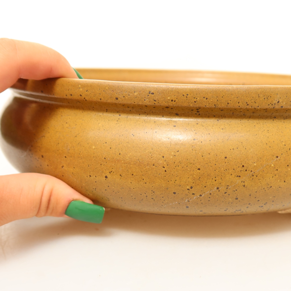 Conchiglia in ceramica  24 x 24 x 7,5 cm, colore marrone