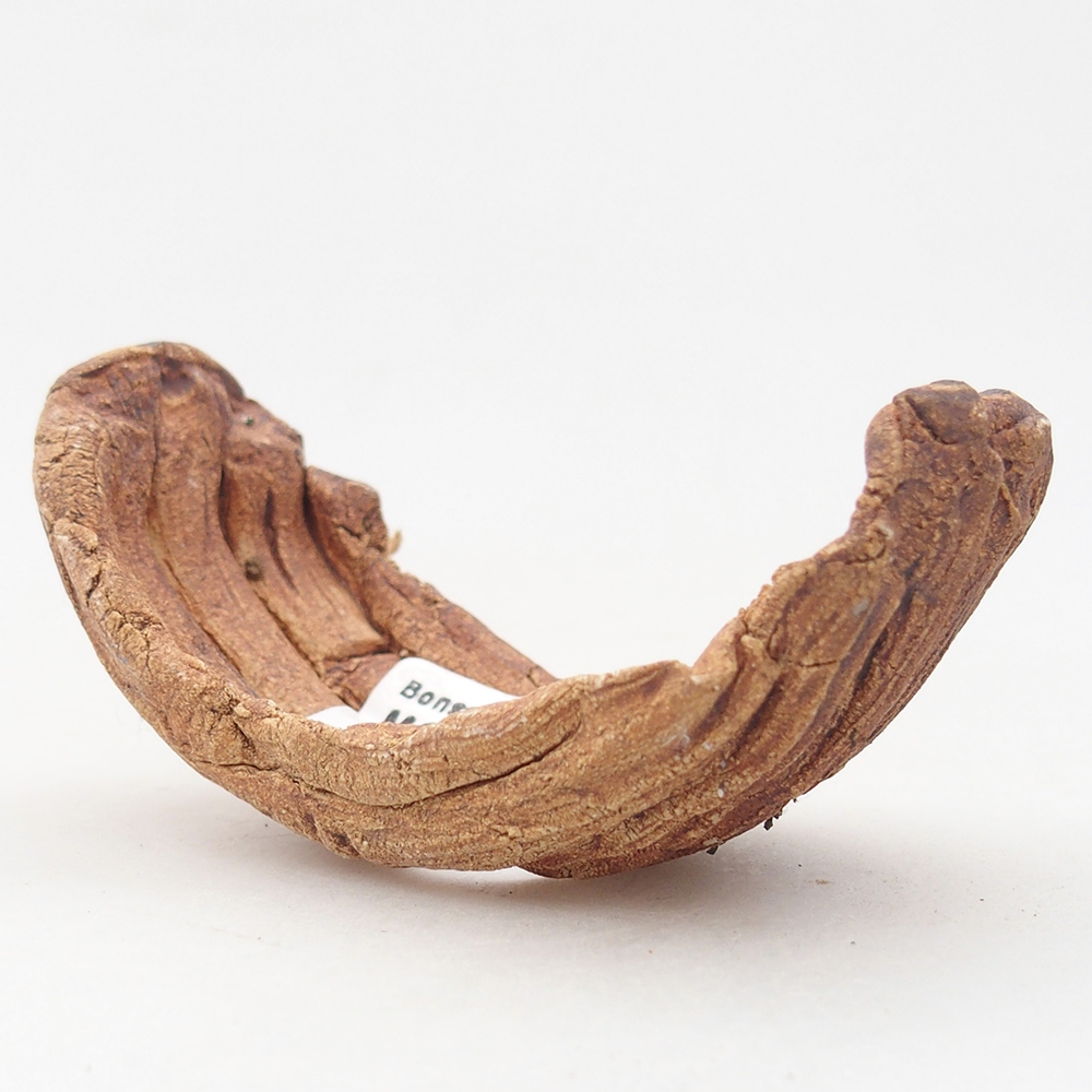 Conchiglia in ceramica 9 x 4,5 x 4,5 cm , colore marrone