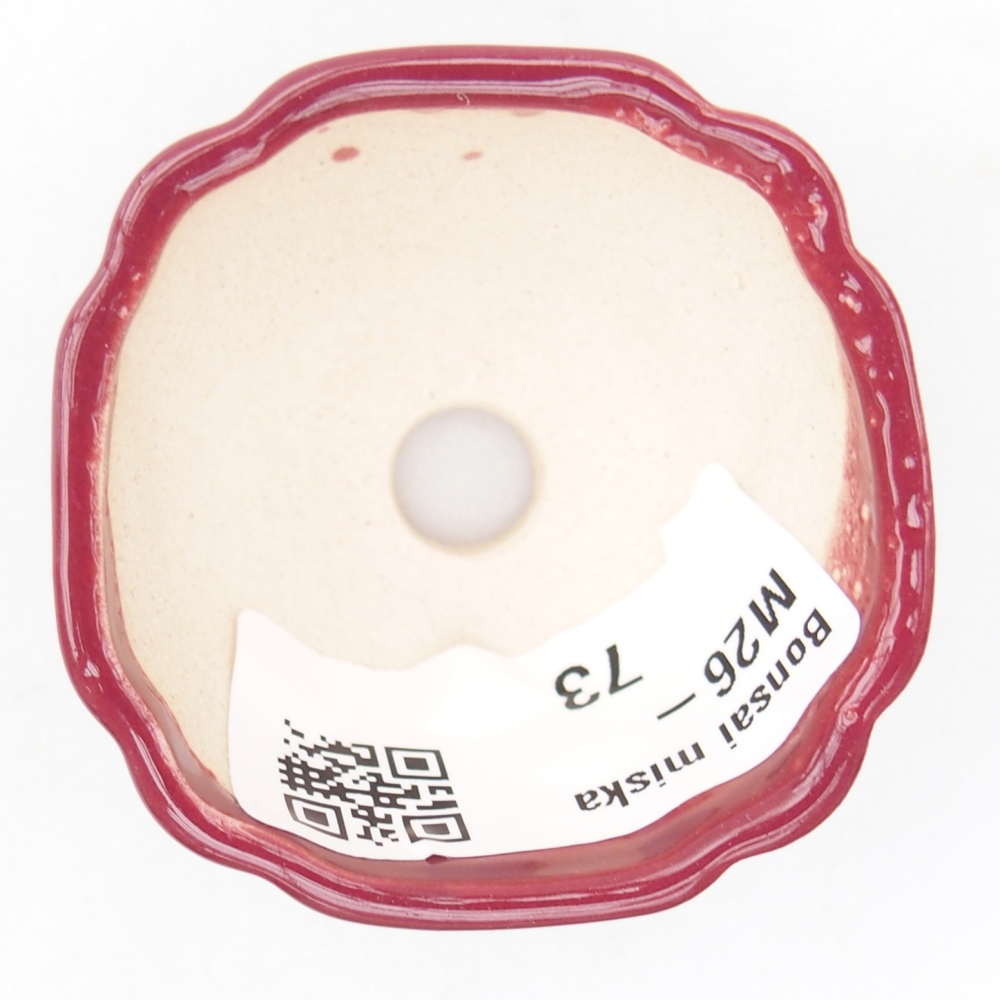 Ciotola per mini bonsai 4,5 x 4,5 x 2,5 cm, bordeaux