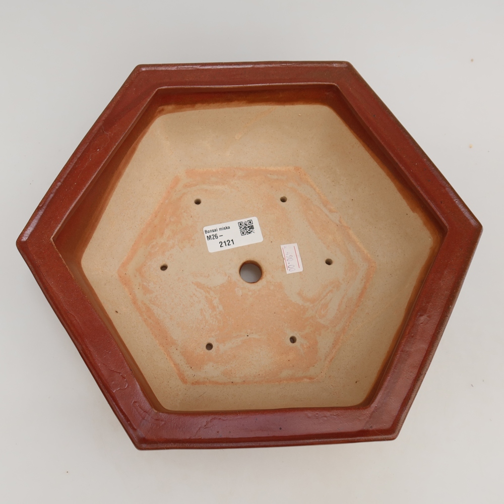 Vaso da bonsai in ceramica 28 x 24,5 x 9 cm, colore bordeaux
