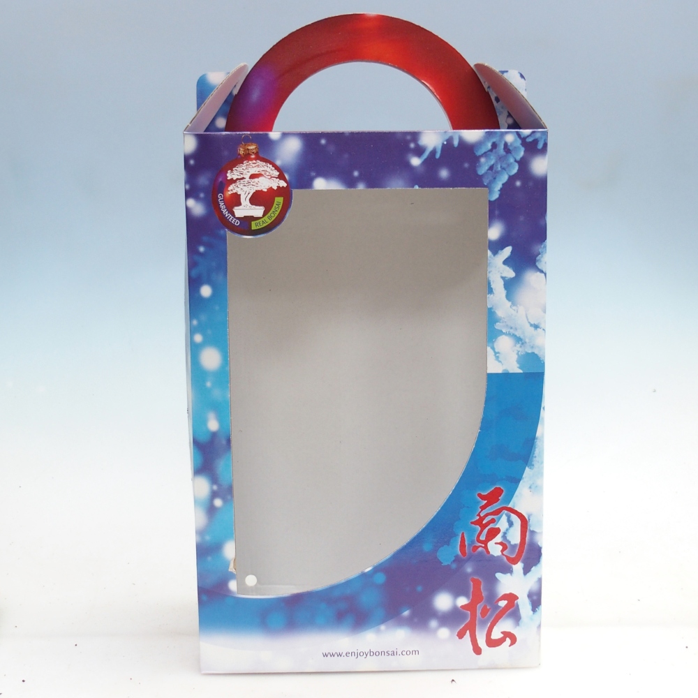 Scatola regalo per bonsai - carta