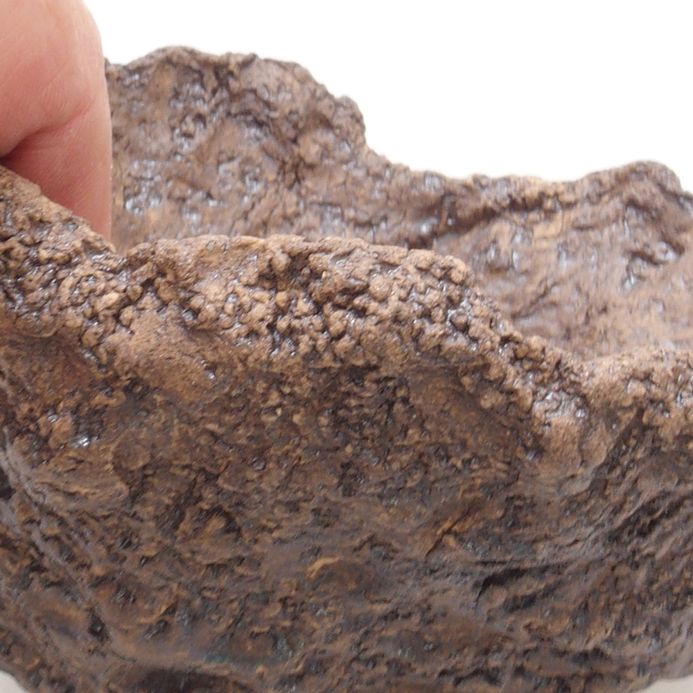 Conchiglia in ceramica 13 x 11 x 12 cm , colore marrone