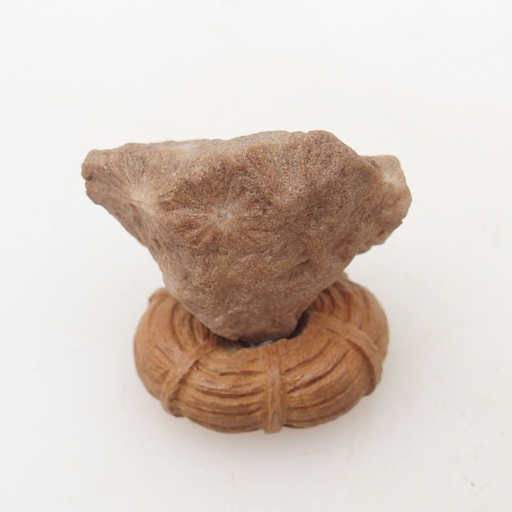 Suiseki - Pietra con DAI (base in legno)