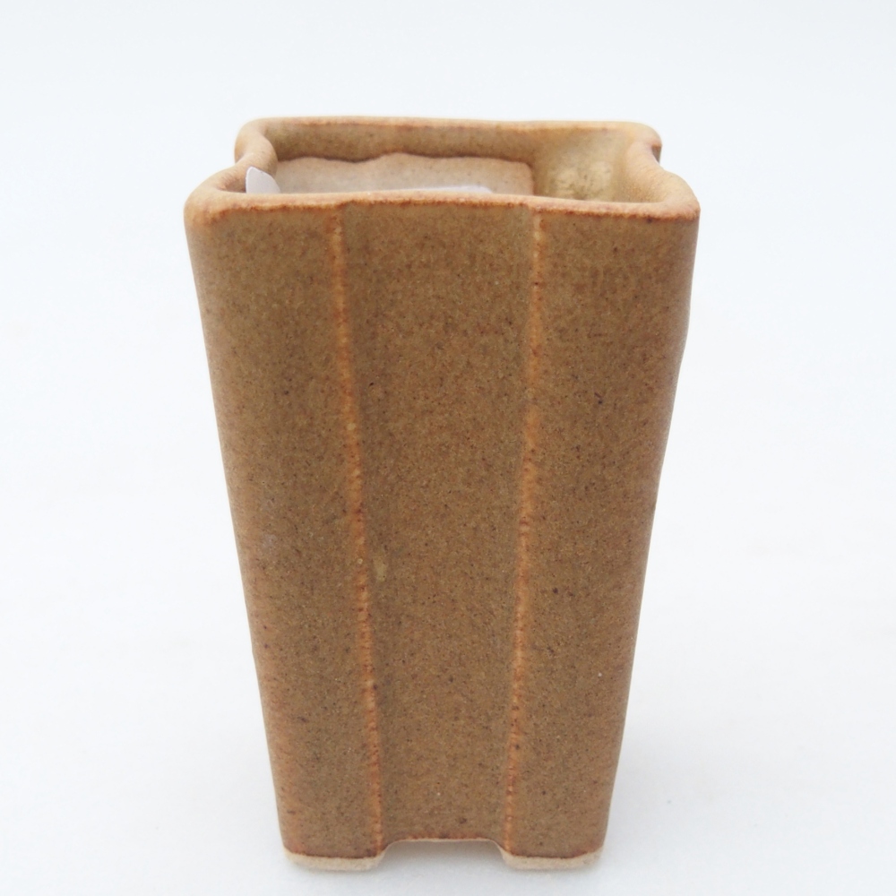 Mini bonsai 3,5 x 3,5 x 5,5 cm, marrone