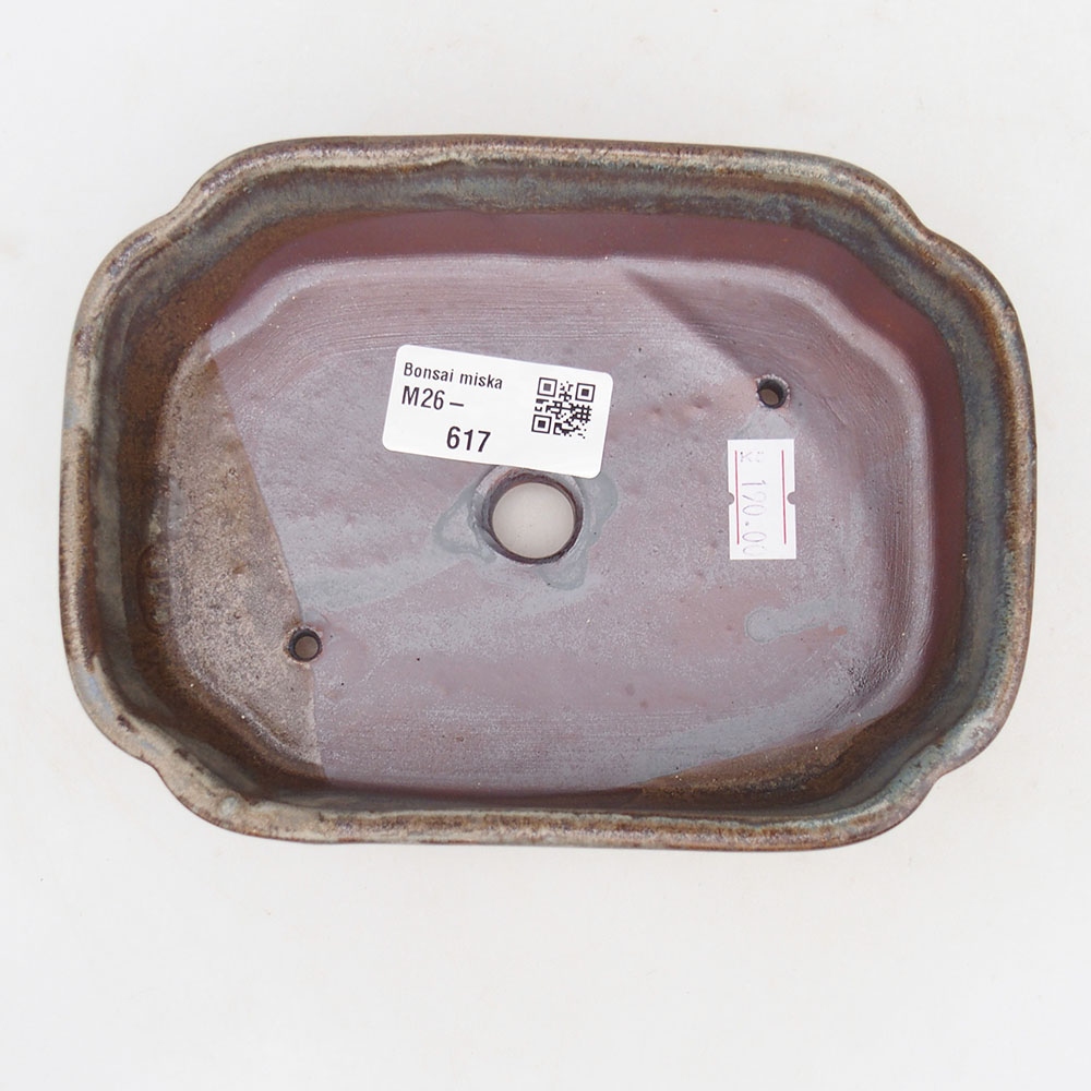 Ciotola bonsai in ceramica 16 x 11,5 x 4,5 cm, colore blu