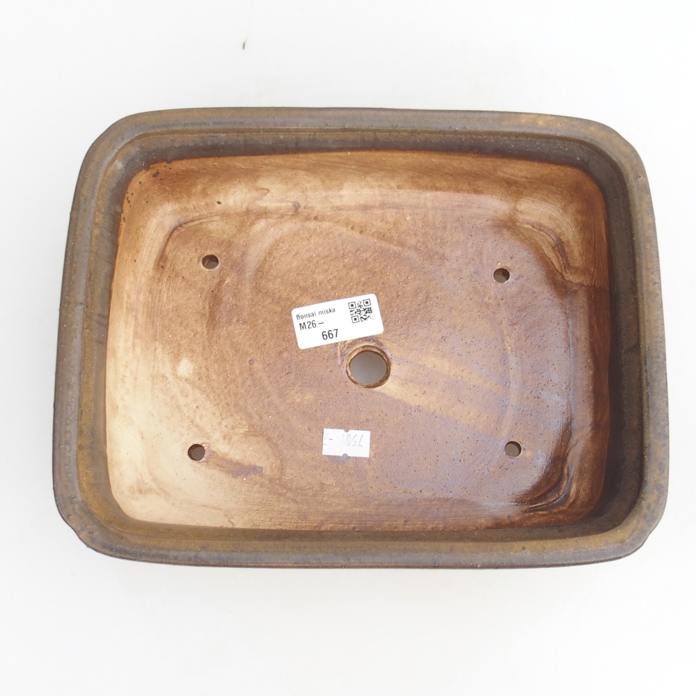 Ciotola per bonsai in ceramica 25 x 20 x 7,5 cm, marrone