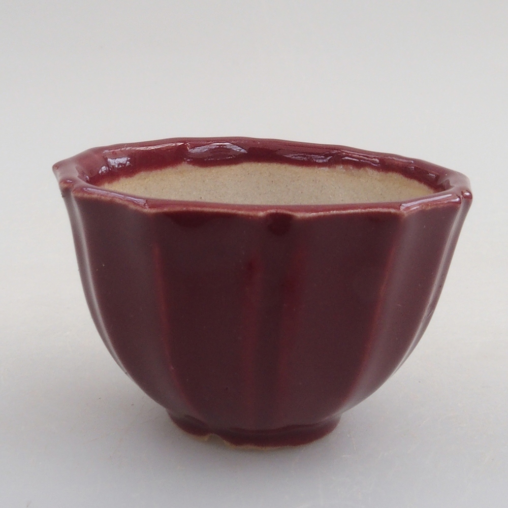 Ciotola per mini bonsai 5 x 5 x 3 cm, bordeaux