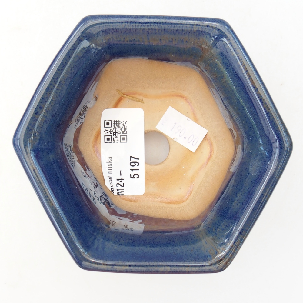 Ciotola bonsai in ceramica 10,5 x 9,5 x 5,5 cm, colore blu