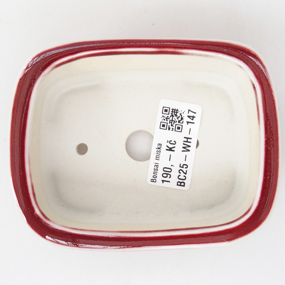 Ciotola per bonsai in ceramica 11 x 8,5 x 3,5 cm, colore rosso