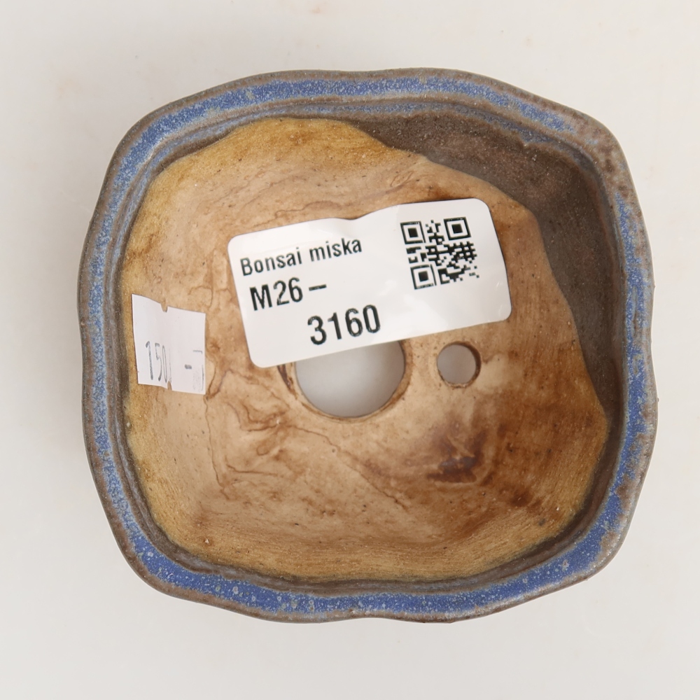 Ciotola bonsai in ceramica 7 x 7 x 3,5 cm, colore blu
