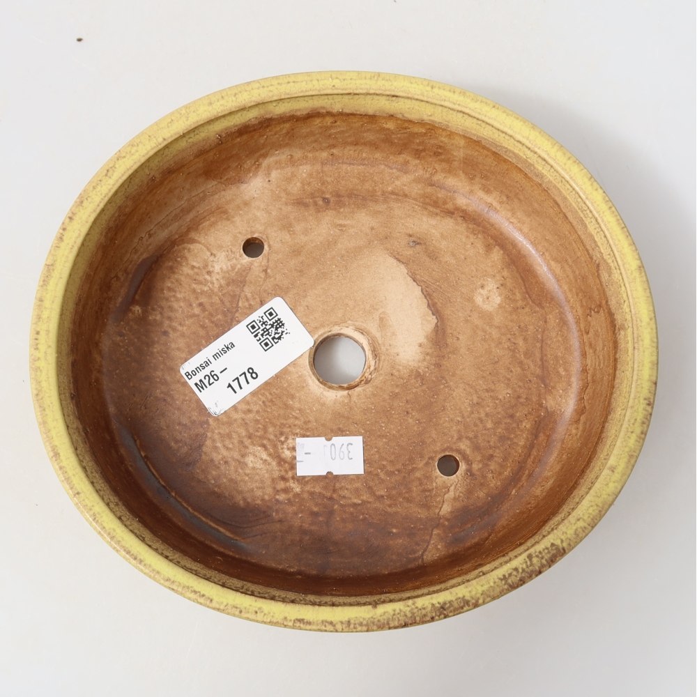 Vaso da bonsai in ceramica 18 x 16,5 x 4,5 cm, colore giallo