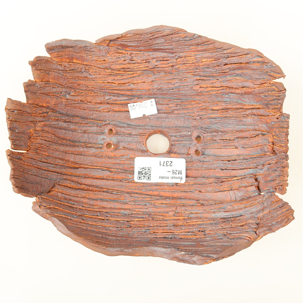 Conchiglia in ceramica  20 x 17 x 7,5 cm, colore marrone