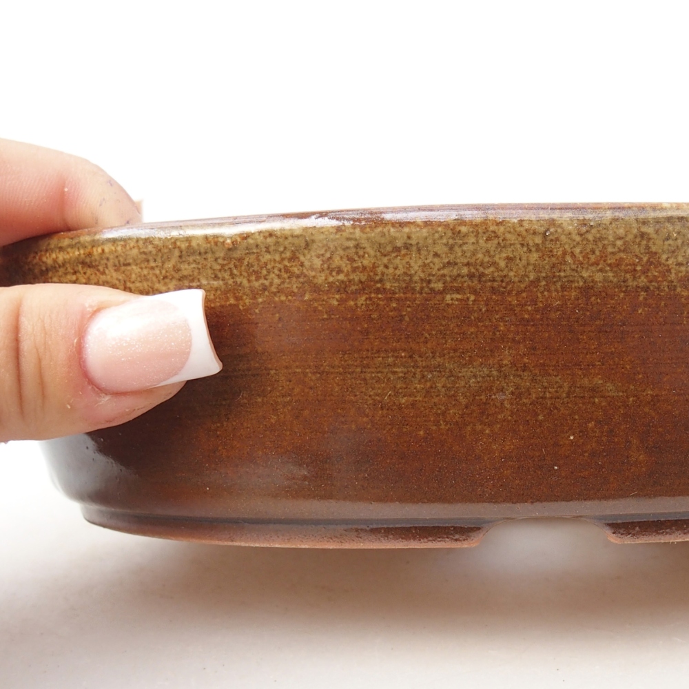 Ciotola per bonsai in ceramica 18,5 x 13,5 x 4,5 cm, marrone