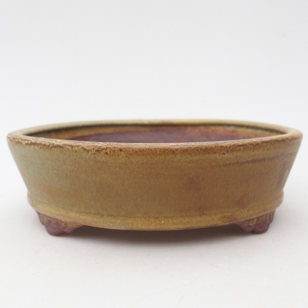 Ciotola per bonsai in ceramica 17,5 x 17,5 x 5 cm, verde