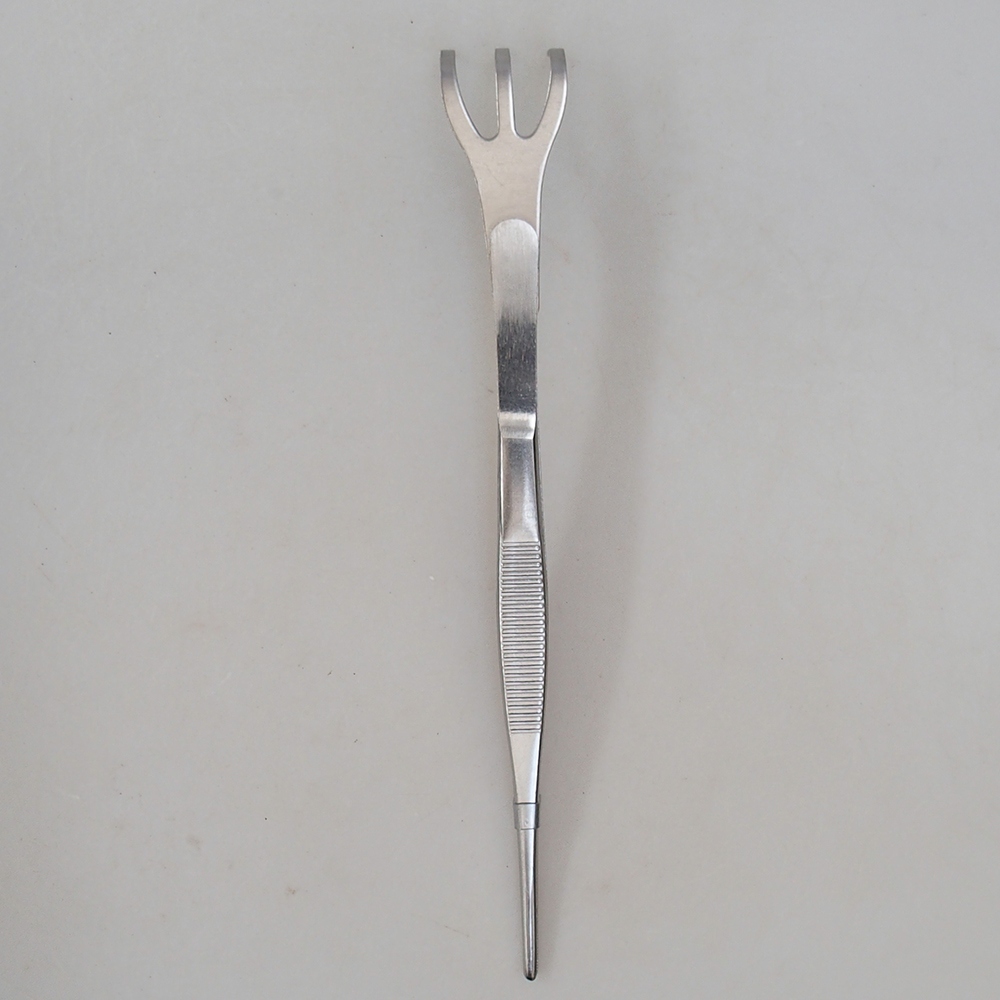 Pinza e pinzetta 22 cm - acciaio inox