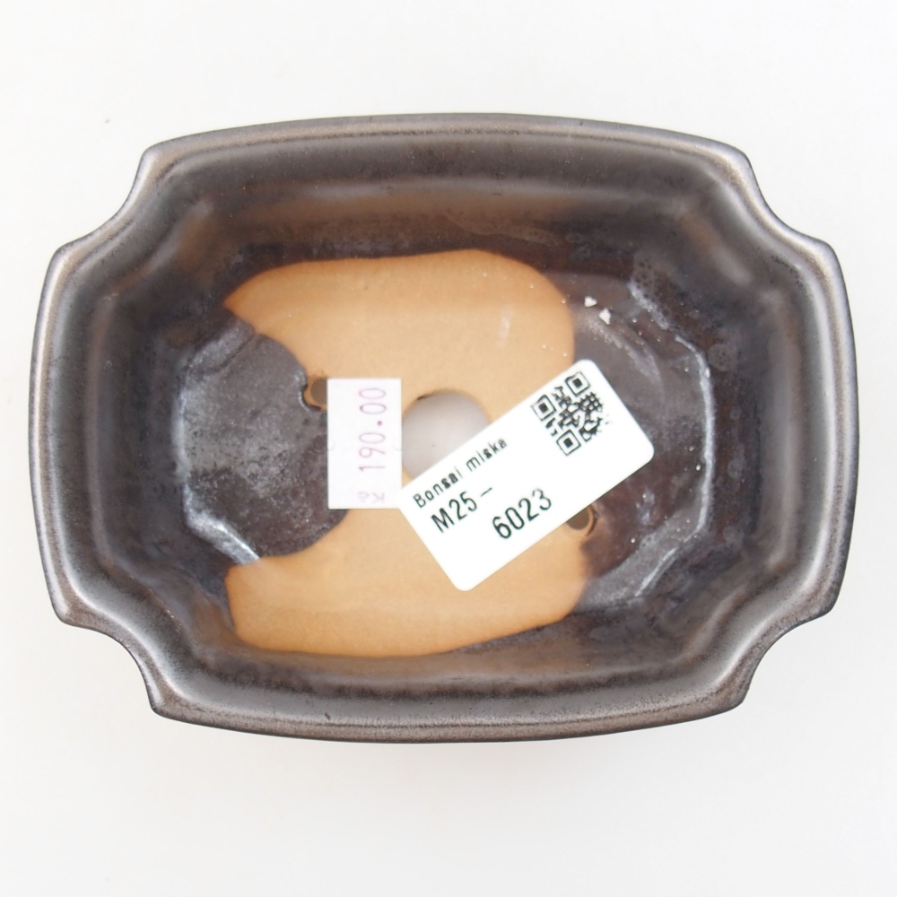 Ciotola bonsai in ceramica 22 x 17 x 5 cm, verde