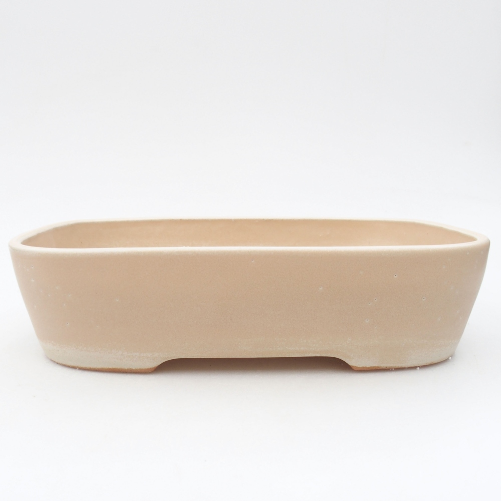 Ciotola bonsai in ceramica 23 x 17,5 x 5,5 cm, colore beige