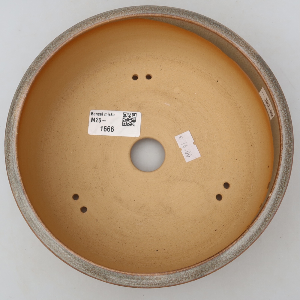 Vaso per bonsai in ceramica 19 x 19 x 6,5 cm, colore beige