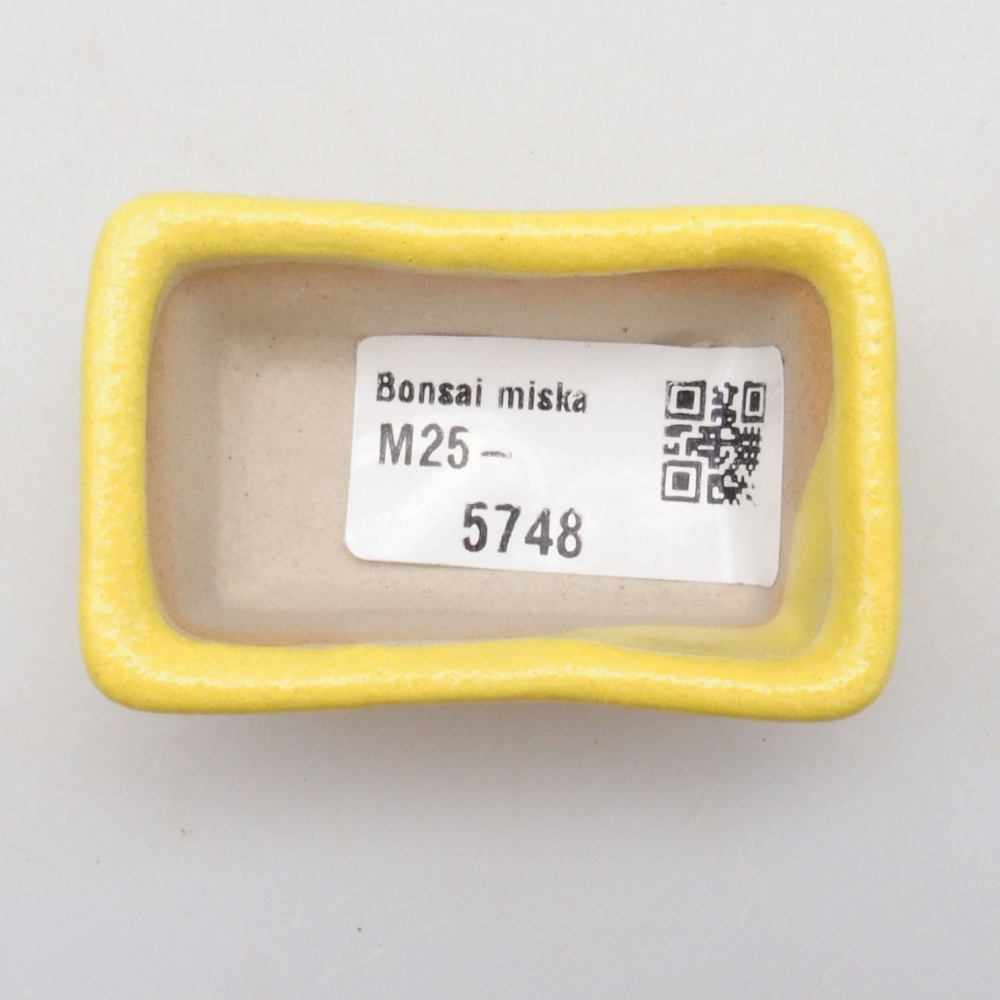 Ciotola per bonsai in ceramica 6 x 3,5 x 2,5 cm, giallo