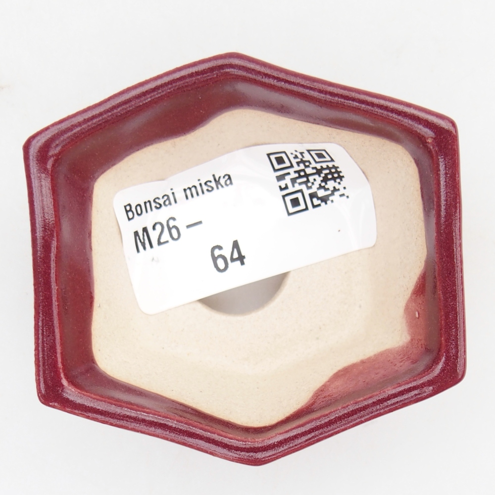 Ciotola per mini bonsai 6 x 5,5 x 2,5 cm, bordeaux
