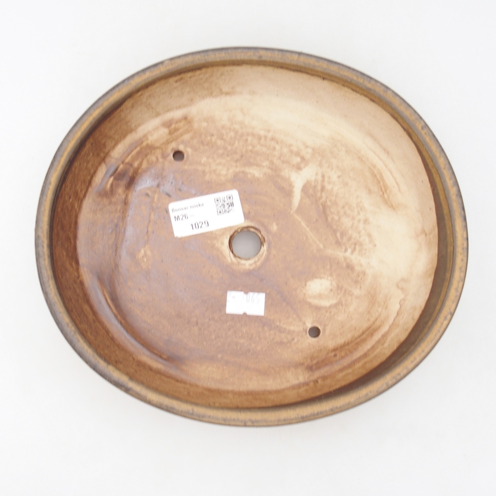 Ciotola bonsai in ceramica 22,5 x 20 x 4,5 cm, marrone