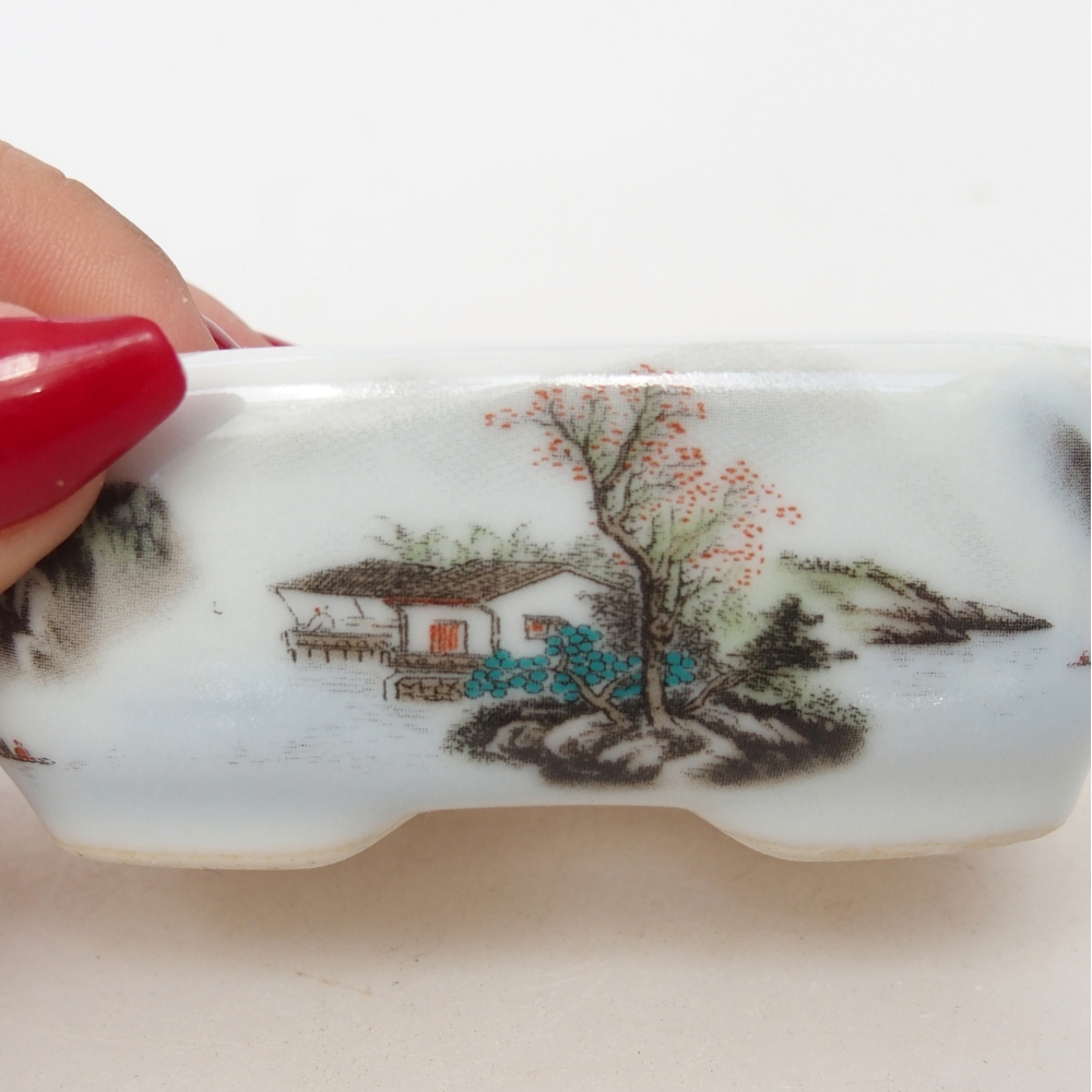 Mini bonsai 8 x 6 x 3 cm, bianco