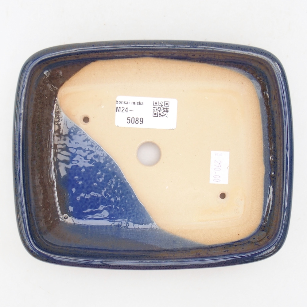 Ciotola bonsai in ceramica 17 x 14 x 3,5 cm, colore blu