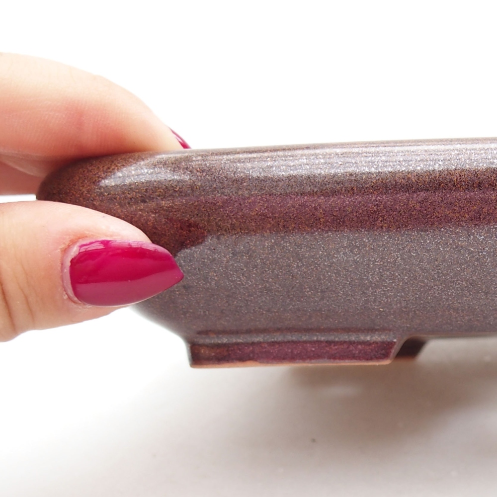 Ciotola bonsai in ceramica 17 x 14 x 3,5 cm, marrone