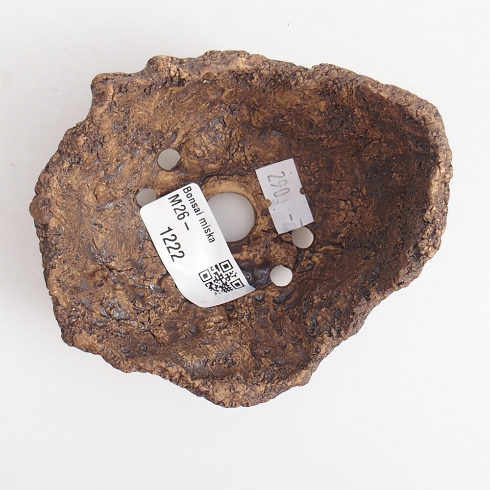 Conchiglia in ceramica 9 x 8 x 7 cm , colore marrone