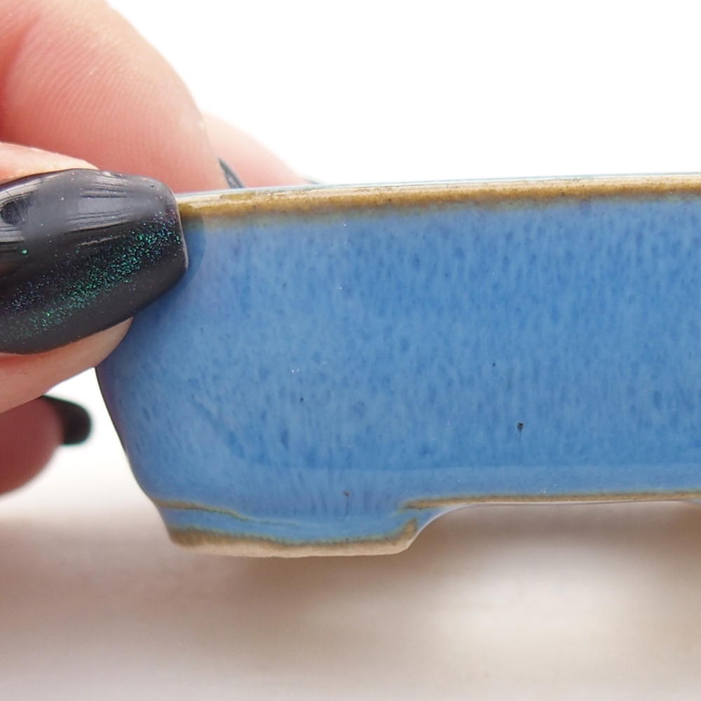 Mini bonsai 7 x 6 x 2,5 cm, colore blu