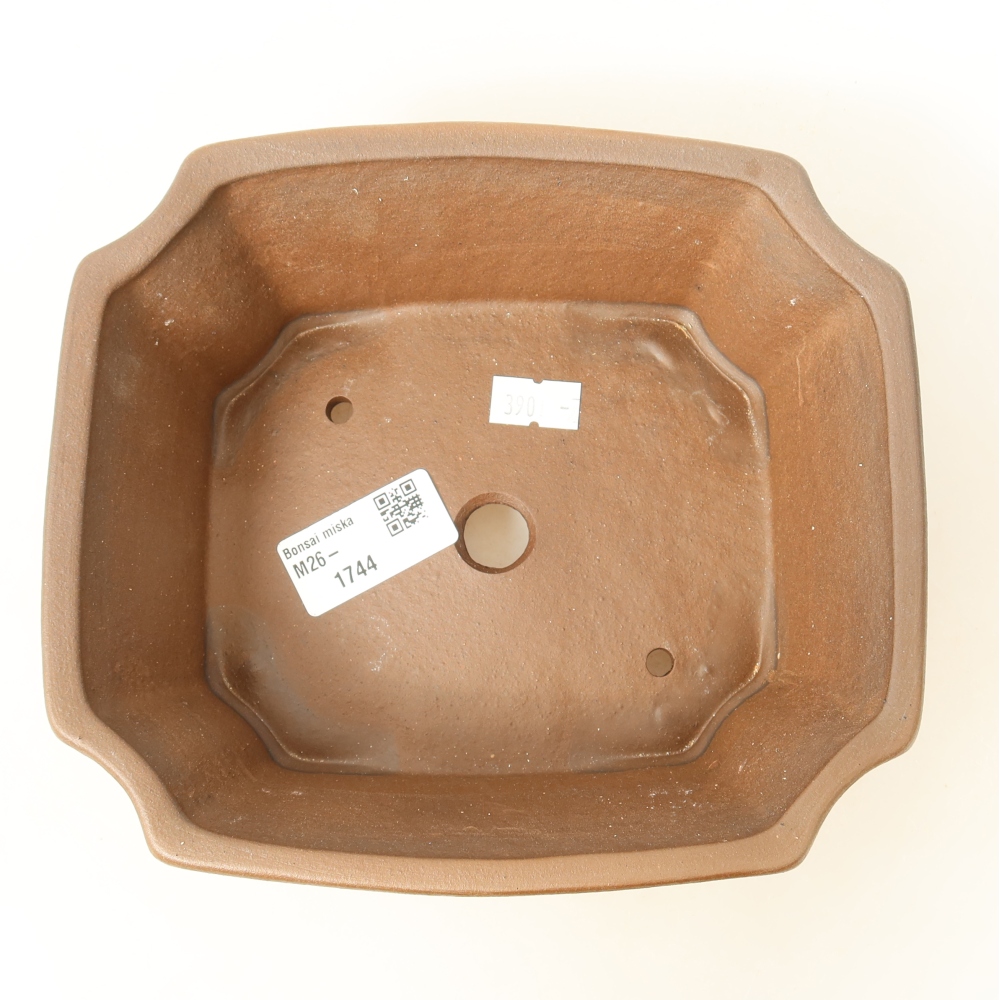 Ciotola per bonsai in ceramica 18 x 15 x 6 cm, marrone