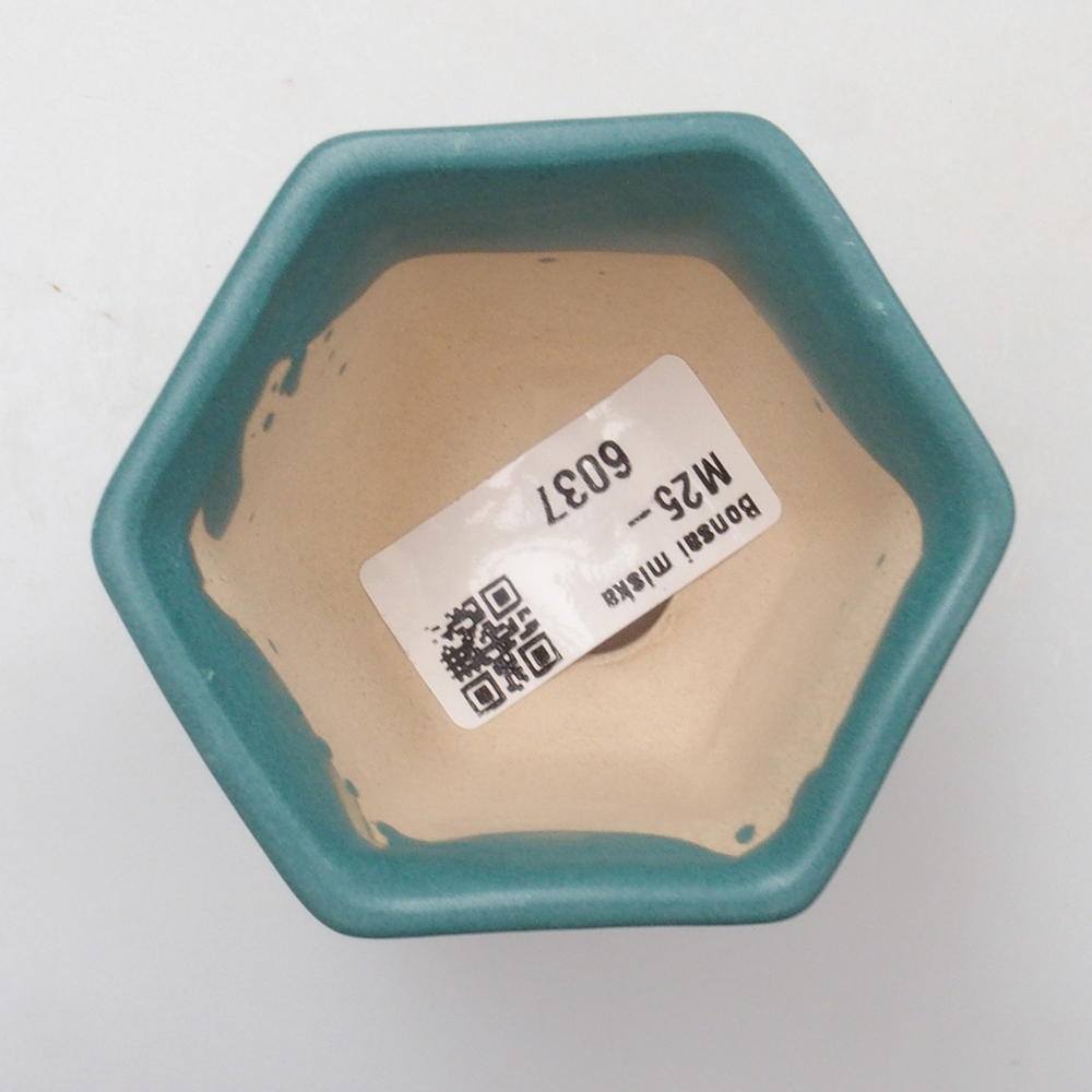 Ciotola bonsai in ceramica 6,5 x 5,5 x 4 cm, colore blu