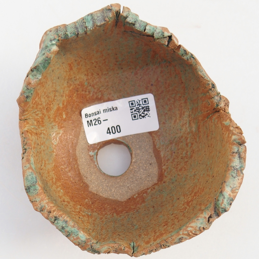 Conchiglia in ceramica 10 x 9,5 x 7,5 cm , colore marrone-verde