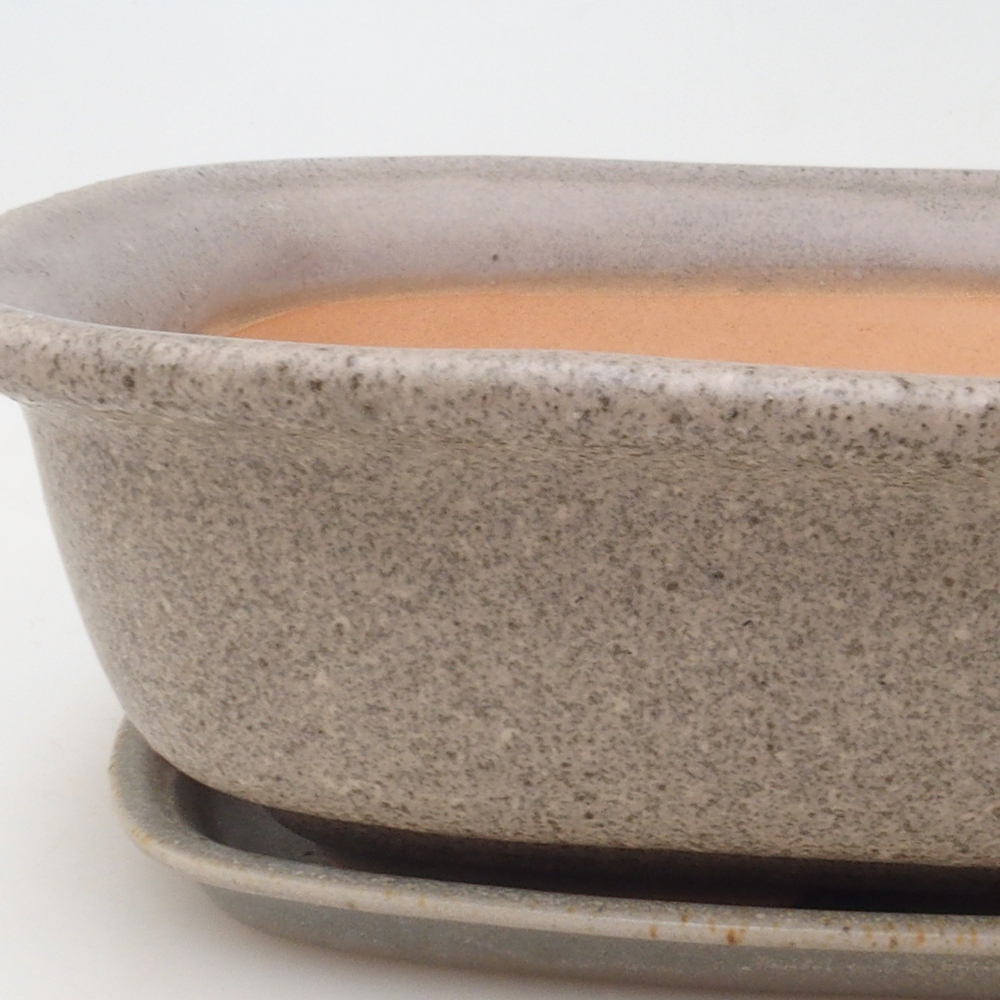 Ciotola bonsai + piattino H08 - 25 x 19,5 x 6 cm - beige