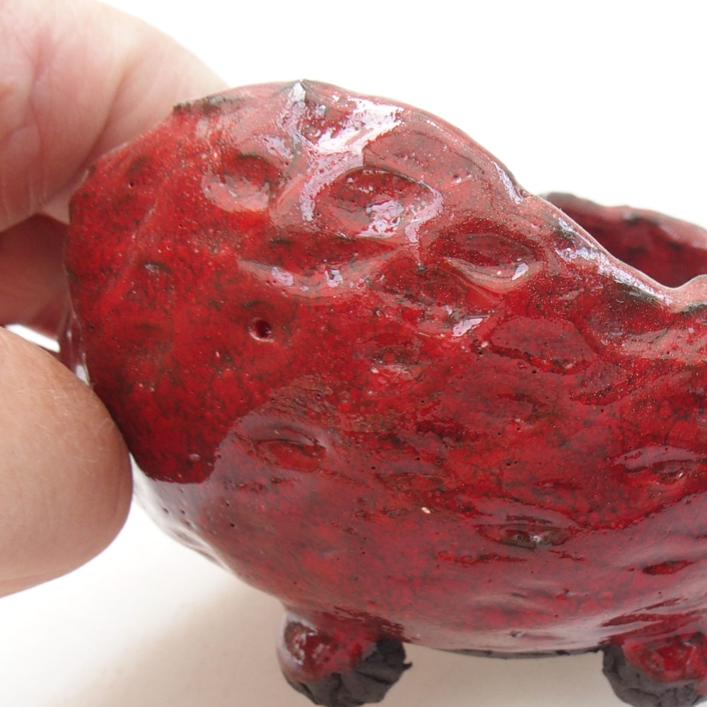Conchiglia in ceramica 8,5 x 8 x 6 cm , colore rosso