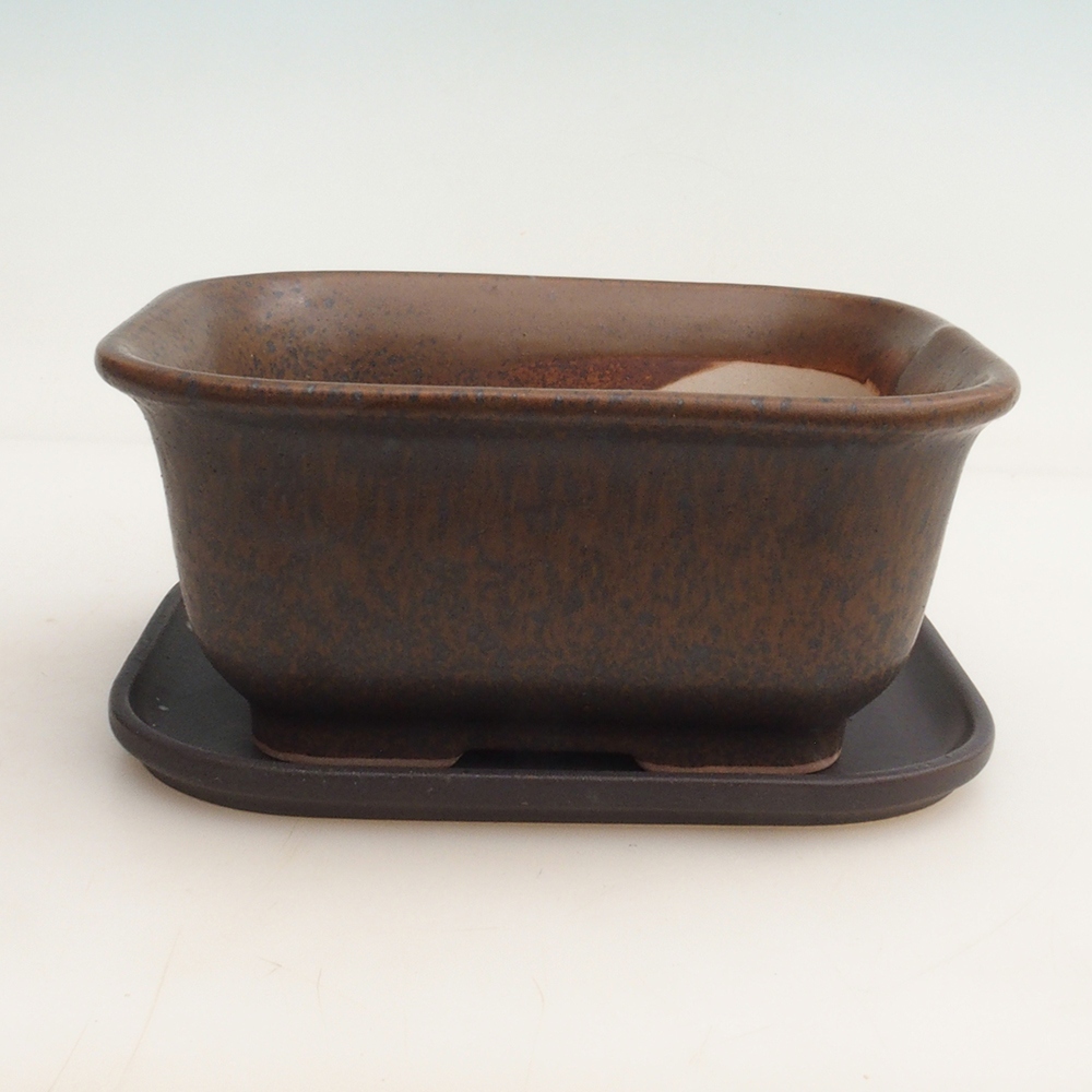 Ciotola bonsai + piattino H36 - 17 x 15 x 7,5 cm - marrone