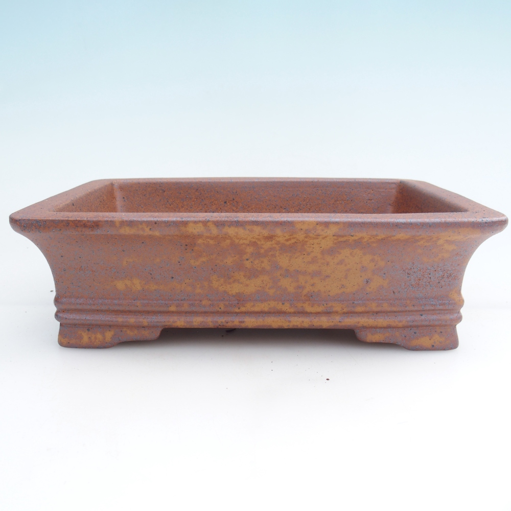 Ciotola per bonsai in ceramica 24 x 17 x 7 cm, marrone